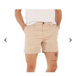 Chubbies 5.5 Original Shorts